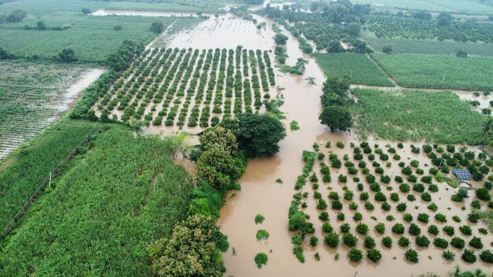 Chhatrapati Sambhajinagar Rains: राज्यभरात मागील चार दिवसांपासून पावसाचा जोर चांगलाच वाढलाय. (Photo Credit-विकास गाडे)