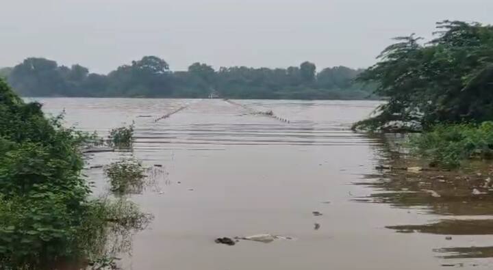 यामुळे गोदावरी नदीला मोठा पूर आल्याचे चित्र आहे.