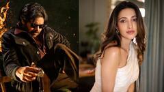 పవన్ 'ఓజీ'లో డీజే టిల్లు బ్యూటీ - రాధికా కన్ఫర్మ్ చేసేసింది