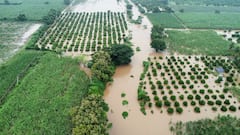 Chhatrapati Sambhajinagar Rains: पैठणमध्ये अतिवृष्टी, नदी-नाल्यांना पूर; तूर, मका, कापूस, सोयाबीनची पिके पाण्याखाली, Photo