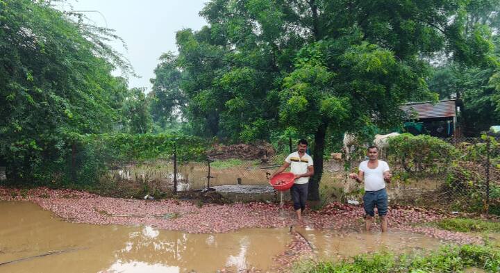 तर शेतीचे देखील मोठ्या प्रमाणात नुकसान झाले आहे.
