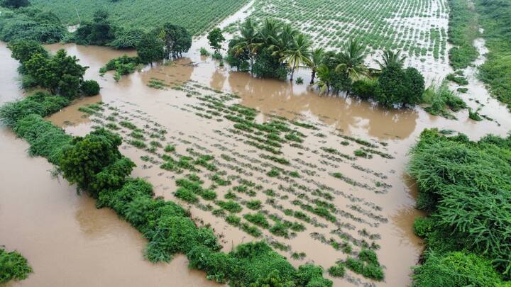मराठवाड्यात सर्वाधिक पैठणच्या नांदर मंडळात 208 मिमी पावसाची नोंद झालीय. (Photo Credit-विकास गाडे)