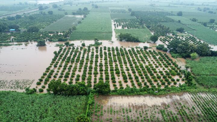 छत्रपती संभाजीनगरच्या पैठण तालुका टाकळी अंबड गावात अतिवृष्टी झाली आहे. (Photo Credit-विकास गाडे)