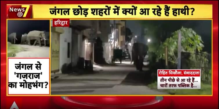 Breaking: Wild Elephant Herd Enters Haridwar; Multiple Disturbing Incidents Reported Across States Breaking: Wild Elephant Herd Enters Haridwar; Multiple Disturbing Incidents Reported Across States
