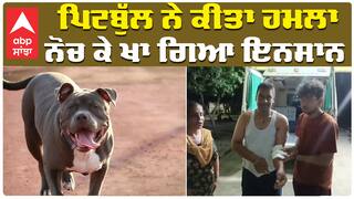 เจชเจฟเจเจฌเฉเฉฑเจฒ เจจเฉ เจเฉเจคเจพ เจนเจฎเจฒเจพ เจจเฉเจ เจเฉ เจเจพ เจเจฟเจ เจเจจเจธเจพเจจ