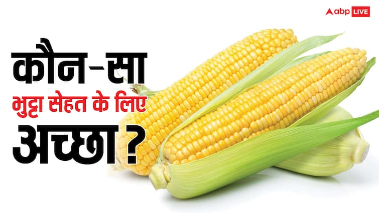 Desi Corn Benefits: स्वीट कॉर्न या देसी भुट्टा, शुगर कम करने और वजन कंट्रोल करने के लिए क्या ज्यादा बेहतर? जान लें हर बात