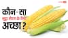 Desi Corn Benefits: स्वीट कॉर्न या देसी भुट्टा, शुगर कम करने और वजन कंट्रोल करने के लिए क्या ज्यादा बेहतर? जान लें हर बात