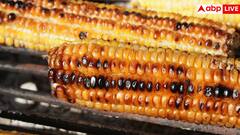 Desi Corn Benefits: स्वीट कॉर्न या देसी भुट्टा, शुगर कम करने और वजन कंट्रोल करने के लिए क्या ज्यादा बेहतर? जान लें हर बात