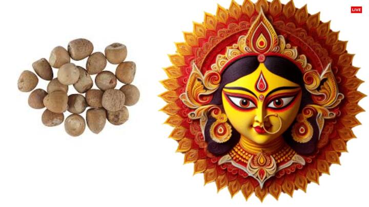 నవరాత్రుల సమయంలో ఒక వక్కను పసుపు వస్త్రంలో కట్టి అమ్మవారి పాదాల చెంత సమర్పించండి. ఆపై, త్వరగా వివాహం లేదా మనసుకు నచ్చిన వివాహం కోసం అమ్మవారిని కోరుకోండి. తరువాత వక్కను మీ తలగడ కింద పెట్టుకుని నిద్రించండి. ఇది వివాహంలో వస్తున్న అడ్డంకులను తొలగిస్తుందని చెబుతారు.