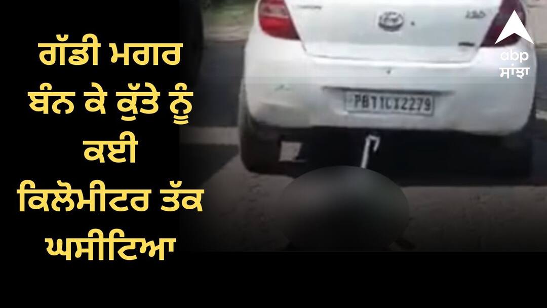 ਗੱਡੀ ਮਗਰ ਬੰਨ ਕੇ ਕੁੱਤੇ ਨੂੰ ਕਈ ਕਿਲੋਮੀਟਰ ਤੱਕ ਘਸੀਟਿਆ, ਝਾੜੀਆਂ 'ਚ ਸੁੱਟੀ ਲਾਸ਼, ਵੀਡੀਓ ਵਾਇਰਲ ਹੋਣ ਮਗਰੋਂ ਪੁਲਿਸ ਨੇ ਲਿਆ ਐਕਸ਼ਨ ! Dog tied to car and dragged for several kilometers ਗੱਡੀ ਮਗਰ ਬੰਨ ਕੇ ਕੁੱਤੇ ਨੂੰ ਕਈ ਕਿਲੋਮੀਟਰ ਤੱਕ ਘਸੀਟਿਆ, ਝਾੜੀਆਂ 'ਚ ਸੁੱਟੀ ਲਾਸ਼, ਵੀਡੀਓ ਵਾਇਰਲ ਹੋਣ ਮਗਰੋਂ ਪੁਲਿਸ ਨੇ ਲਿਆ ਐਕਸ਼ਨ !