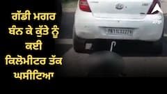 ਗੱਡੀ ਮਗਰ ਬੰਨ ਕੇ ਕੁੱਤੇ ਨੂੰ ਕਈ ਕਿਲੋਮੀਟਰ ਤੱਕ ਘਸੀਟਿਆ, ਝਾੜੀਆਂ 'ਚ ਸੁੱਟੀ ਲਾਸ਼, ਵੀਡੀਓ ਵਾਇਰਲ ਹੋਣ ਮਗਰੋਂ ਪੁਲਿਸ ਨੇ ਲਿਆ ਐਕਸ਼ਨ !