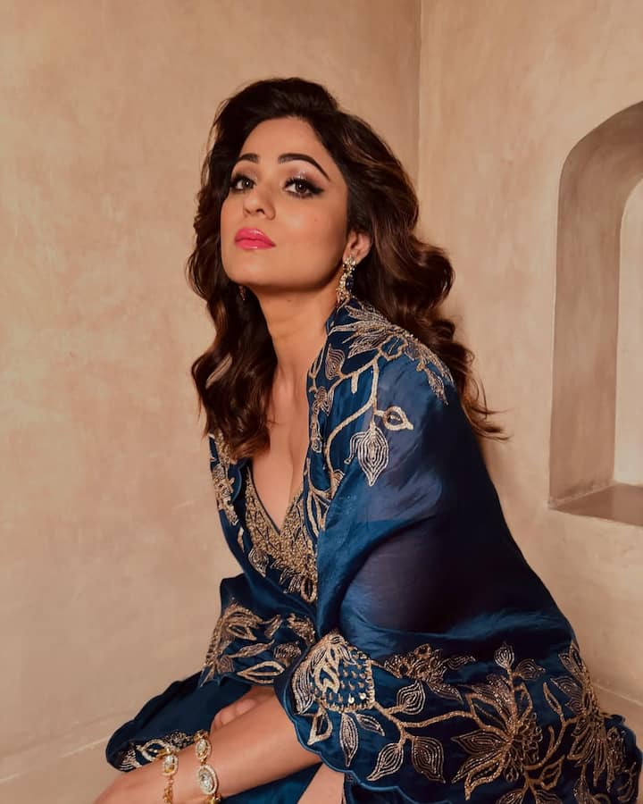 बॉलीवुड फिल्मों और वेब सीरीज के अलावा शमिता ‘बिग बॉस’, ‘खतरों के खिलाड़ी’ और ‘झलक दिखलाजा’ जैसे रिएलिटी शोज भी कर चुकी हैं.