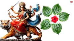 Shardiya Navratri 2025: शारदीय नवरात्रि में कैसे प्रसन्न होंगी माता, करें ये 5 छोटे-छोटे उपाय