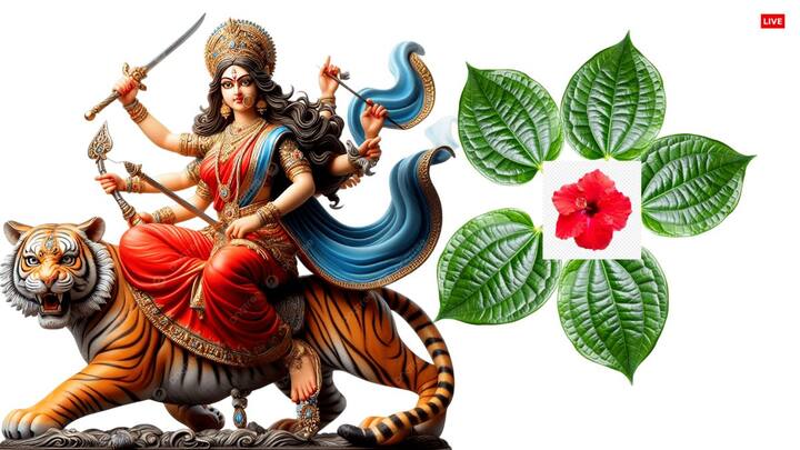 శారదీయ నవరాత్రుల తొమ్మిది రోజుల్లో జగత్ జనని ఆదిశక్తి  దుర్గాదేవి  తొమ్మిది రూపాలను ప్రత్యేకంగా పూజిస్తారు. మొదటి రోజు రాత్రి సమయంలో తల్లికి కాడలతో ఉన్న తమలపాకుల దండను సమర్పించండి. దీనివల్ల ఉద్యోగ సంబంధిత సమస్యలు తొలగిపోతాయని చెబుతారు.