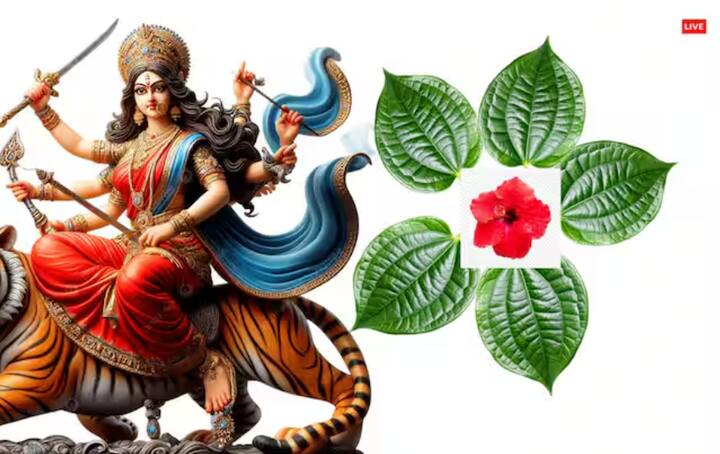 ਸ਼ਾਰਦੀਆ ਨਰਾਤਿਆਂ ਦੇ ਨੌਂ ਦਿਨਾਂ ਵਿੱਚ ਜਗਤ ਜਨਨੀ ਆਦਿਸ਼ਕਤੀ ਮਾਂ ਦੁਰਗਾ ਦੇ ਨੌਂ ਰੂਪਾਂ ਦੀ ਵਿਸ਼ੇਸ਼ ਪੂਜਾ ਕੀਤੀ ਜਾਂਦੀ ਹੈ। ਅਜਿਹੇ ਵਿੱਚ ਪਹਿਲੀ ਰਾਤ ਨੂੰ ਮਾਂ ਨੂੰ ਡੰਡੀ ਵਾਲੇ ਪਾਨ ਦੇ ਪੱਤਿਆਂ ਦੀ ਮਾਲਾ ਚੜ੍ਹਾਓ। ਕਿਹਾ ਜਾਂਦਾ ਹੈ ਕਿ ਇਸ ਨਾਲ ਰੁਜ਼ਗਾਰ ਸੰਬੰਧੀ ਸਮੱਸਿਆਵਾਂ ਖਤਮ ਹੁੰਦੀਆਂ ਹਨ।