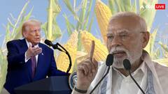 अमेरिका से एक बोरी भी मक्का नहीं खरीदता भारत, क्या इसी चिढ़ में ट्रंप ने लगाया 50 परसेंट टैरिफ? जानें क्यों सख्त है मोदी सरकार का रुख