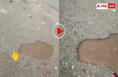 કીડી પણ કરે છે એકબીજા સાથે વાતચીત, એક કીડીના કમાન્ડ પર આ ઝૂંડ તૂટી પડ્યું, જુઓ વીડિયો