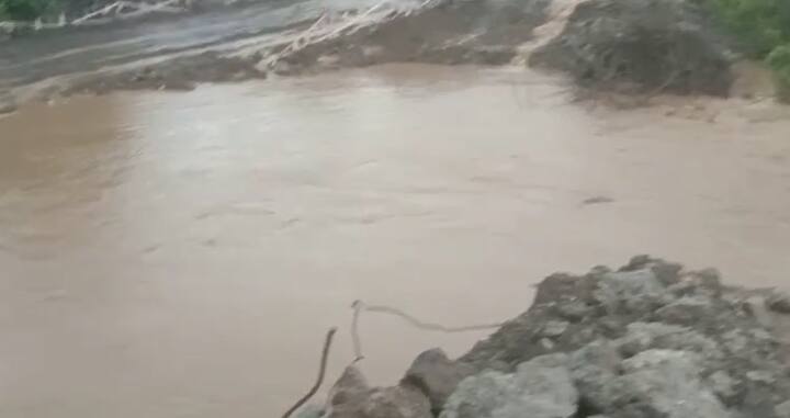 यामुळे जनावरे आणि शेतीचं मोठं नुकसान झालं आहे.