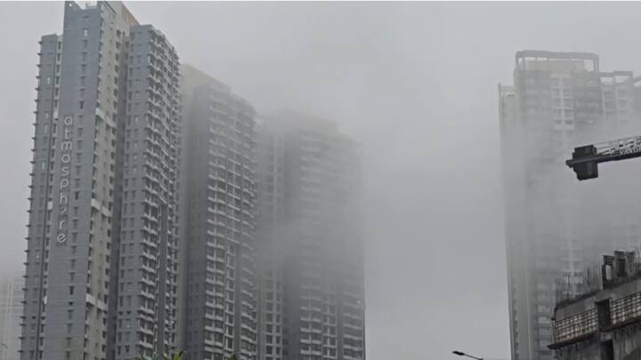 मुंबईसह उपनगरामध्ये पावसाची उघडझाप सुरू आहे. अशात मुंबईच्या पूर्व उपनगरात मोठ्या प्रमाणात रस्त्यावर धुक पसरले आहे. यामुळे यामुळे दृश्यमानता देखील कमी झाली आहे. याचा फटका रस्ते वाहतुकीला बसताना दिसत आहे. यामुळे ठिकठिकाणी वाहतूक कोंडी देखील आढळून येत आहे.