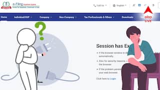 Income Tax: ইনকাম ট্যাক্স রিটার্ন ফাইল করতে গিয়ে বিরাট বিপত্তি! 'টাকা কাটলেও চালান আসেনি', উঠছে সময়সীমা বাড়ানোর দাবি