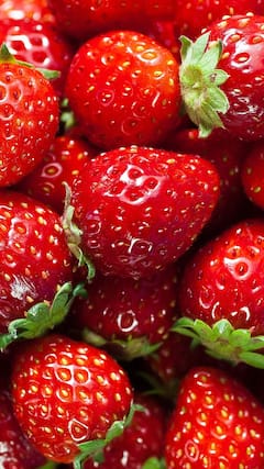 स्ट्रॉबेरी के शौकीन हैं? इस राज्य में जाएं जहां हर मोड़ पर मिलती है ताज़ी स्ट्रॉबेरी