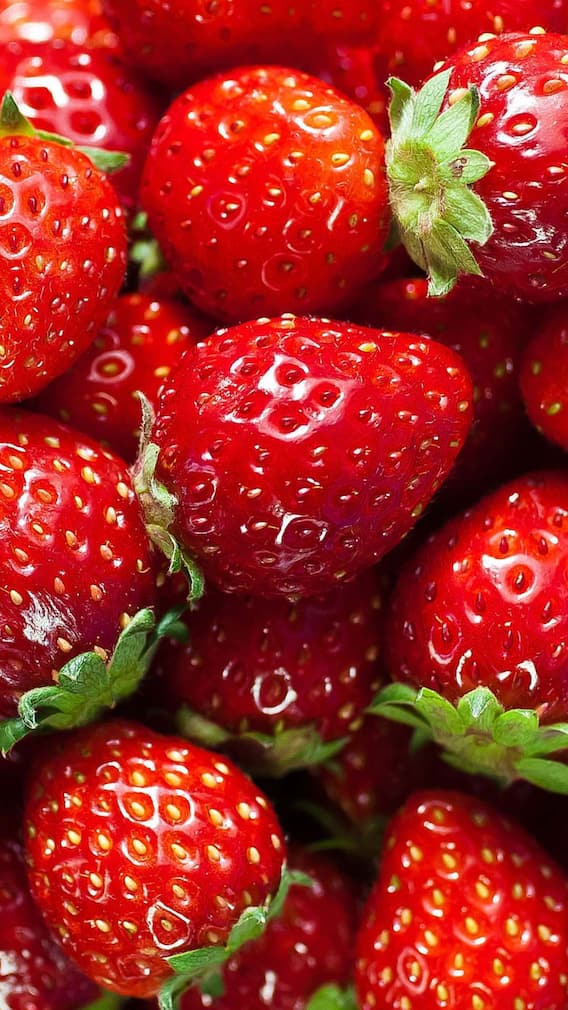 स्ट्रॉबेरी के शौकीन हैं? इस राज्य में जाएं जहां हर मोड़ पर मिलती है ताज़ी स्ट्रॉबेरी