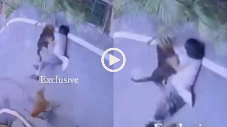 Video: Dogesh भाई की घिनौनी करतूत! जो लड़की खिला रही थी खाना, कुत्तों ने उसे ही नौंच डाला, वीडियो वायरल