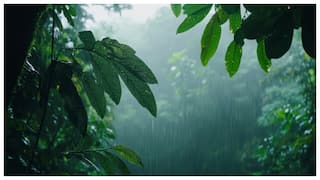 Latest Weather : బంగాళాఖాతంలో అల్పపీడనం - ఏపీ, తెలంగాణలో 4 రోజులు వానలు- హైదరాబాద్లో కుండపోత