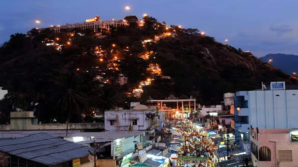 திண்டுக்கல் 40 ஆண்டுகளில் வளர்ச்சி எட்டியதா? வேலைவாய்ப்பு, சுற்றுலா, அடிப்படை வசதிகள் கேள்விக்குறி