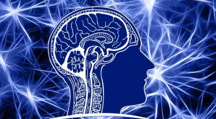 આટલું જ નહીં, જ્યારે AI ફક્ત જૂના પેટર્ન અને ડેટાના આધારે સામગ્રી બનાવી શકે છે, ત્યારે SI સંપૂર્ણપણે નવી અને અનોખી વસ્તુઓ જેવી કે સંપૂર્ણપણે નવી ડિઝાઇન, વાર્તાઓ અથવા નવીન વિચારો બનાવવાની ક્ષમતા ધરાવે છે.