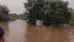 जळगावातील पाचोऱ्यात ढगफुटी, दगड नदीला पूर; निम्म गाव जलमय, उपकेंद्रही पाण्याखाली, पाहा फोटो