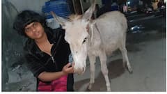 Zen sadavarte abroad studies : पुढील शिक्षणासाठी विदेशी चालली सदावर्तेंची कन्या; छगन भुजबळांनी केला सत्कार!