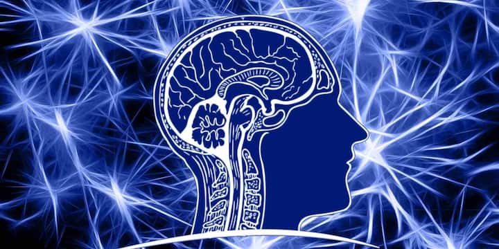 यही नहीं, जहां AI केवल पुराने पैटर्न और डेटा पर आधारित सामग्री बना सकता है, वहीं SI पूरी तरह से नई और अनोखी चीजें क्रिएट करने की क्षमता रखता है जैसे बिल्कुल नए डिजाइन, कहानियां या इनोवेटिव आइडियाज.