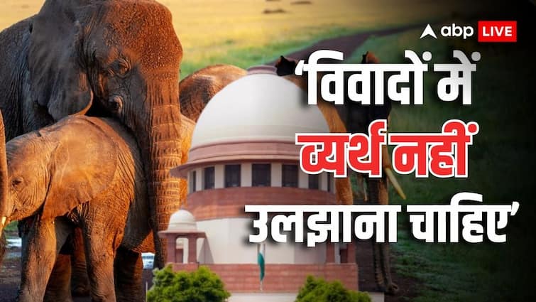 'कोई हाथी रखना चाहता है तो उसमें गलत क्या', वनतारा मामले में बोला सुप्रीम कोर्ट