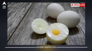 Egg ਦੀ ਤਾਜ਼ਗੀ ਕਿਵੇਂ ਚੈੱਕ ਕਰੀਏ; ਨਜ਼ਰ ਆਉਣ ਇਹ 11 ਸੰਕੇਤ ਤਾਂ ਸਮਝ ਲਓ ਅੰਡਾ ਖਰਾਬ..,ਨਜ਼ਰਅੰਦਾਜ਼ ਕੀਤਾ ਤਾਂ ਹੋਵੋਗੇ ਬਿਮਾਰ