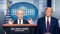 ‘Maharaja Of Tariffs’: Trump Aide Navarro’s Swipe At India Even As Trade Talks Set To Resume On Tuesday