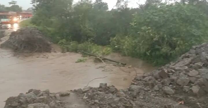 शेवगाव पाथर्डी भागामध्ये कापूस आणि फळबागांचं मोठं नुकसान झालं आहे.