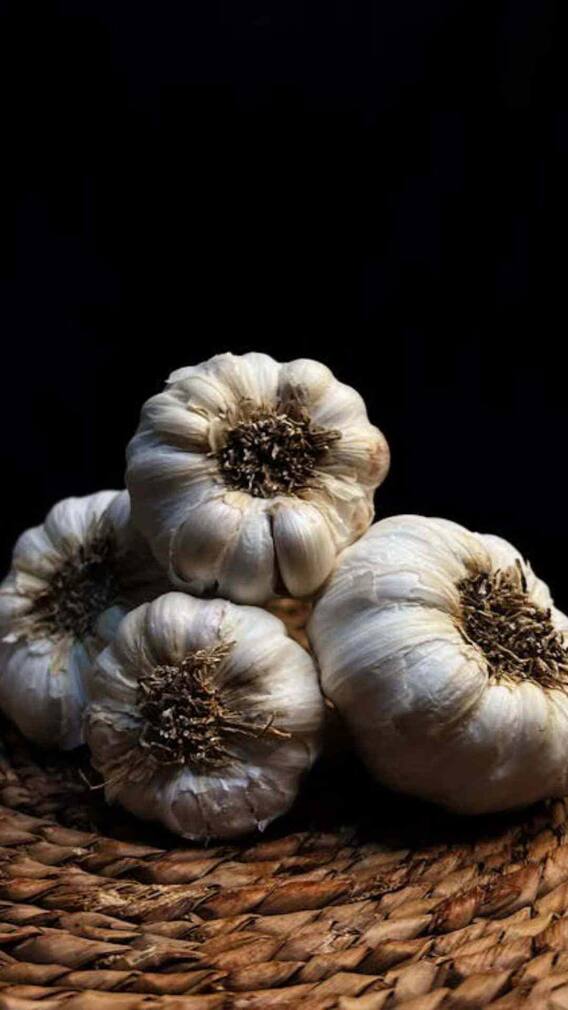 गर्भावस्थेत लसूण खावा की नाही?