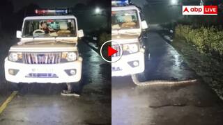 पुलिस की जीप में फंस गया आदमखोर दरिंदा! डर से बाहर ही नहीं निकले पुलिसकर्मी- वायरल हो रहा वीडियो