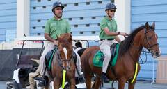 Asia Cup 2025: Pakistan's Super-4 Chances In Danger