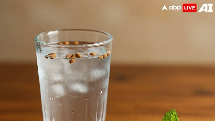 अगर आपका लक्ष्य पाचन और मेटाबॉलिज्म सुधारना है तो जीरा वॉटर बेस्ट है. लेकिन लंबे समय तक वजन मैनेजमेंट और भूख कंट्रोल के लिए चिया सीड्स वॉटर ज्यादा असरदार है.