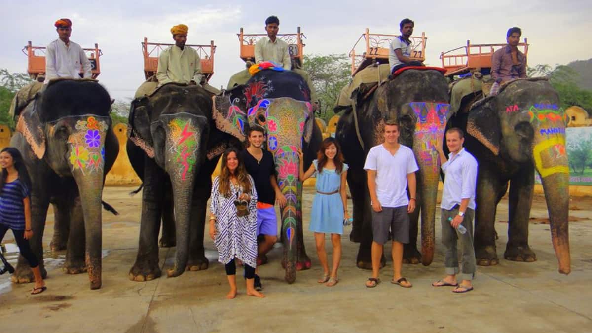 (Image Source: Twitter/@CityShor_Jaipur)