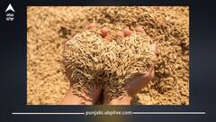 Paddy Procurement: ਕਿਸਾਨਾਂ ਲਈ ਖੁਸ਼ਖਬਰੀ! ਝੋਨੇ ਦੀ ਸਰਕਾਰੀ ਖਰੀਦ ਸ਼ੁਰੂ, ਨਮੀ ਦੇ ਨਾਂ 'ਤੇ ਨਹੀਂ ਹੋਏਗੀ ਲੁੱਟ