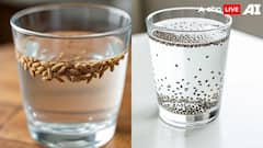 Metabolism Booster Drink: जीरा वॉटर बेस्ट है या चिया सीड्स का पानी, जानें वजन घटाने के लिए दोनों में कौन ज्यादा कारगर?