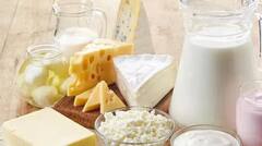 New GST Rate: ਦੁੱਧ, ਘਿਓ ਸਣੇ ਮੱਖਣ ਕਿੰਨਾ ਹੋਏਗਾ ਸਸਤਾ ? ਨਵੇਂ ਰੇਟ ਦੀ ਲਿਸਟ ਆਈ ਸਾਹਮਣੇ...