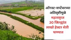महाराष्ट्रात  पावसाचे थैमान! ऑगस्ट-सप्टेंबरच्या अतिवृष्टीमुळे 30 जिल्ह्यांत लाखो हेक्टर पाण्यात, किती क्षेत्र बाधित? कृषिमंत्री दत्ता भरणेंची माहिती
