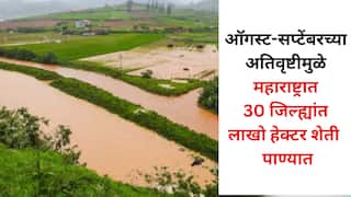 महाराष्ट्रात पावसाचे थैमान! ऑगस्ट-सप्टेंबरच्या अतिवृष्टीमुळे 30 जिल्ह्यांत लाखो हेक्टर पाण्यात, किती क्षेत्र बाधित? कृषिमंत्री दत्ता भरणेंची माहिती