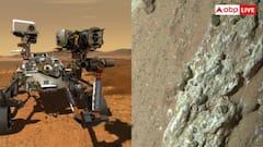 मंगल पर मिल गया जिंदगी का सबूत, NASA को चट्टानों के बीच छुपा मिला 'जीवन'!
