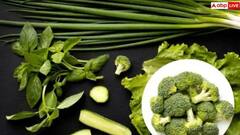 Unhealthy Vegetables in Monsoon: ચોમાસામાં ક્યારેય ન ખાતા આ 7 શાકભાજી,સ્વાસ્થ્યને થઈ શકે છે નુકસાન