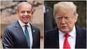 Ahead Of Trump Meet, Pak PM Shehbaz Ties Peace With India To Kashmir: '…Living In Fool’s Paradise'